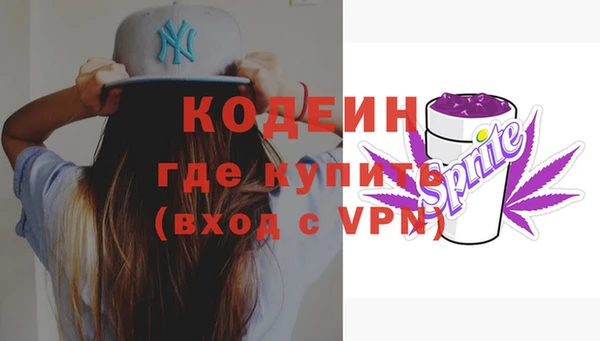 дживик Няндома