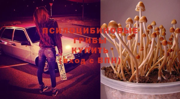 a pvp Абдулино