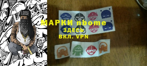 дживик Няндома