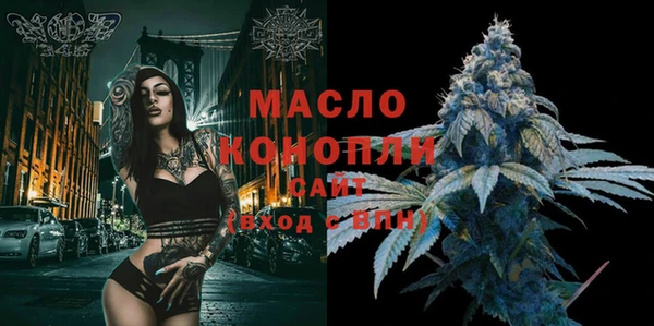 дживик Няндома