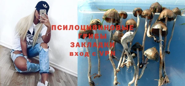 мескалин Аша