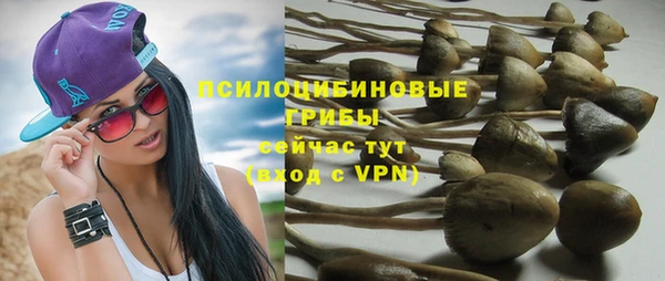MDMA Premium VHQ Нязепетровск