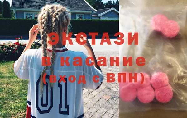 дживик Няндома